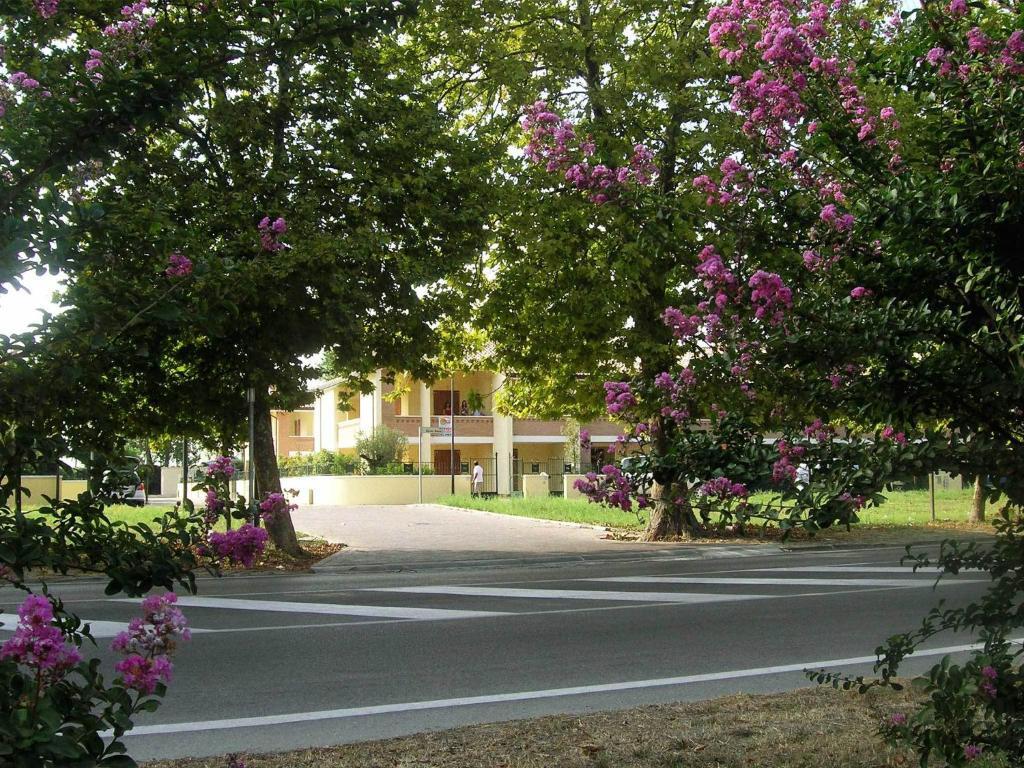 Residence Mediterraneo Lido delle Nazioni Oda fotoğraf