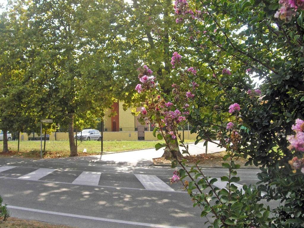Residence Mediterraneo Lido delle Nazioni Oda fotoğraf